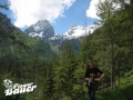 Wald Yoga und Natur